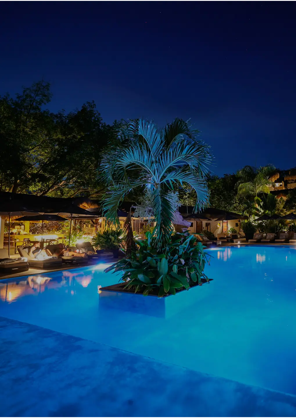 Fiesta San Silvestre