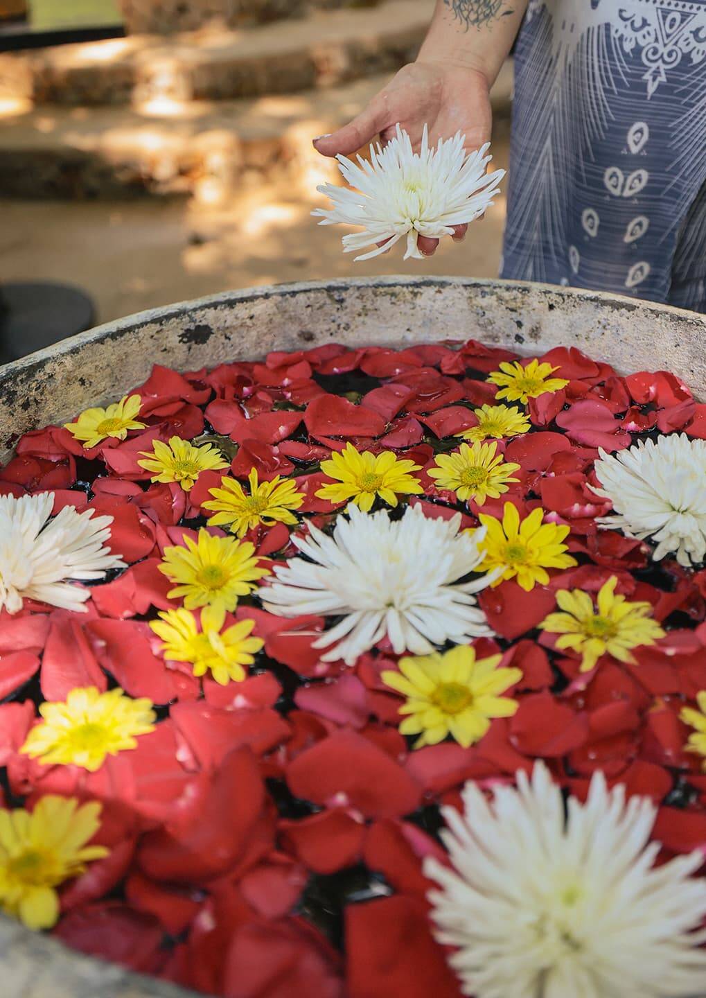 Romantic plans for couples