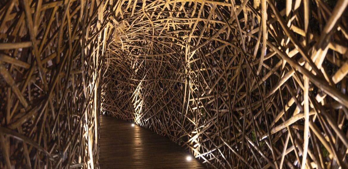 P4-1170x570 - Casa Candela